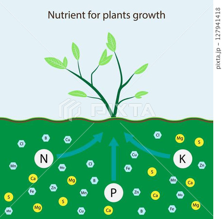 illustration of chemistry and biology, Nutrient for plants growth, Role of nutrients mineral in plant and soil life with mineral nutrients, biochemistry illustration of chemistry and biology, Nutrient for plants growth, Role of nutrients mineral in plant and soil life with mineral nutrients, biochemistry 127941418
