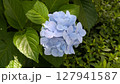 85 127941587