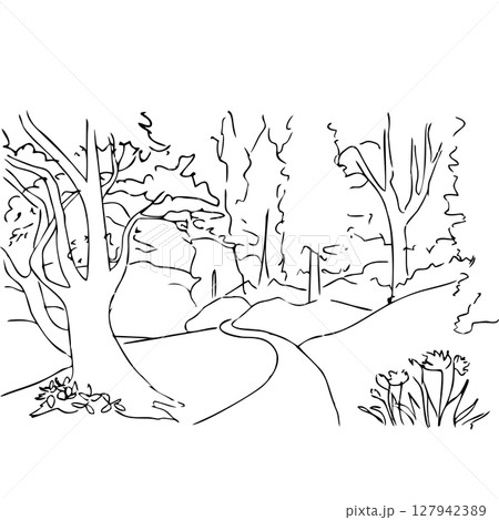 forest with hills 127942389