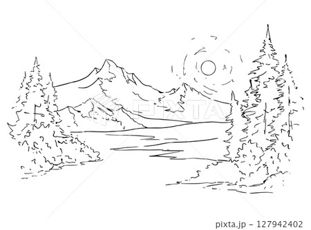 forest 127942402