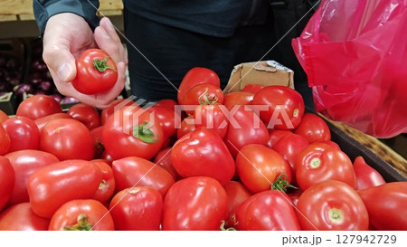 Person selecting tomatoes at Market. Hand selecting tomatoes. 127942729