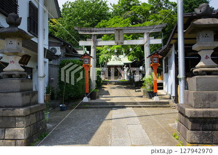 新倉氷川八幡神社	埼玉県和光市新倉 新倉氷川八幡神社	埼玉県和光市新倉 127942970