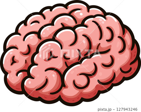 脳みそのイラスト 127943246
