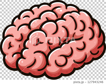大腦圖 127943246