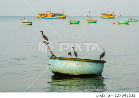 Herons Birds Resting on Round Basket Boat in Calm Waters off the Coast of Mui Ne, Vietnam 127943632