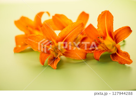 Fresh garden orange lilies close-up Fresh garden orange lilies close-up 127944288