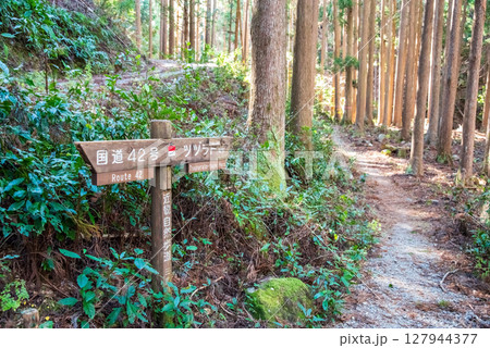 世界遺産 熊野古道伊勢路 「ツヅラト峠」 JR梅ケ谷駅側の峠道風景 世界遺産 熊野古道伊勢路 「ツヅラト峠」 JR梅ケ谷駅側の峠道風景 127944377