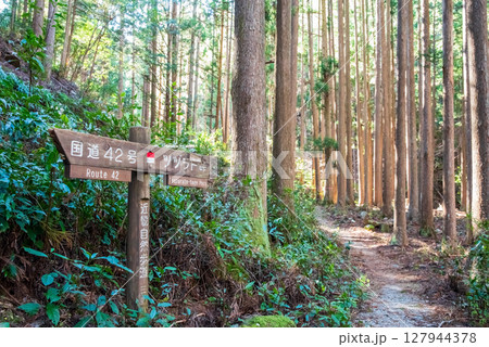 世界遺産 熊野古道伊勢路 「ツヅラト峠」 JR梅ケ谷駅側の峠道風景 世界遺産 熊野古道伊勢路 「ツヅラト峠」 JR梅ケ谷駅側の峠道風景 127944378