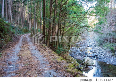 世界遺産 熊野古道伊勢路 「ツヅラト峠」 JR梅ケ谷駅側の峠道風景 127944387