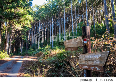 世界遺産 熊野古道伊勢路 「ツヅラト峠」 JR梅ケ谷駅側の峠道風景 127944390