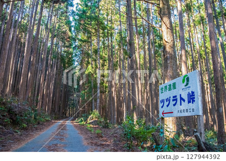 世界遺産 熊野古道伊勢路 「ツヅラト峠」 JR梅ケ谷駅側の峠道風景 世界遺産 熊野古道伊勢路 「ツヅラト峠」 JR梅ケ谷駅側の峠道風景 127944392