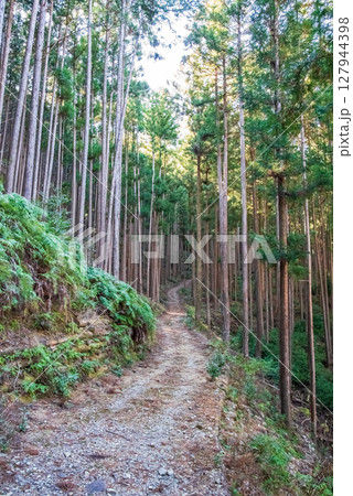 世界遺産 熊野古道伊勢路 「ツヅラト峠」 JR梅ケ谷駅側の峠道風景 127944398