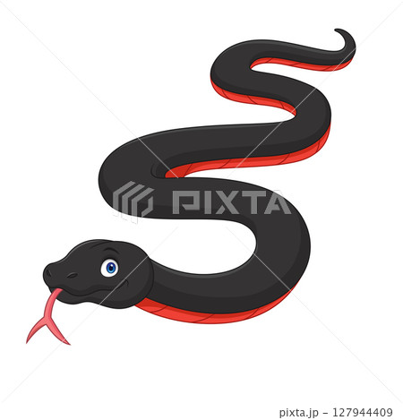 Red bellied black snake cartoon isolated on white background Red bellied black snake cartoon isolated on white background 127944409