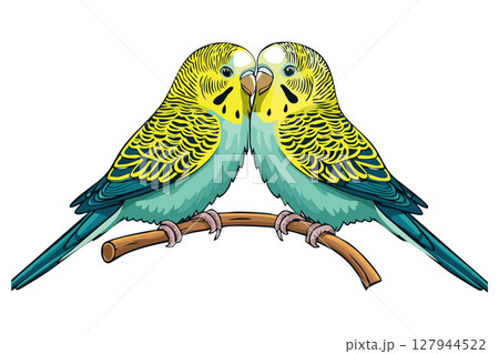 Two Budgies Perched Together, stylized art illustration of two budgies perched close together on a branch, Budgerigar, common parakeet, shell parakeet or budgie (Melopsittacus undulatus) Two Budgies Perched Together, stylized art illustration of two budgies perched close together on a branch, Budgerigar, common parakeet, shell parakeet or budgie (Melopsittacus undulatus) 127944522
