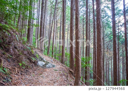 世界遺産 熊野古道伊勢路 「ツヅラト峠」 JR梅ヶ谷駅側の峠道風景 127944568