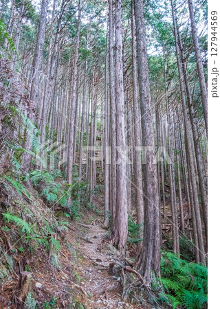 世界遺産 熊野古道伊勢路 「ツヅラト峠」 JR梅ヶ谷駅側の峠道風景 127944569