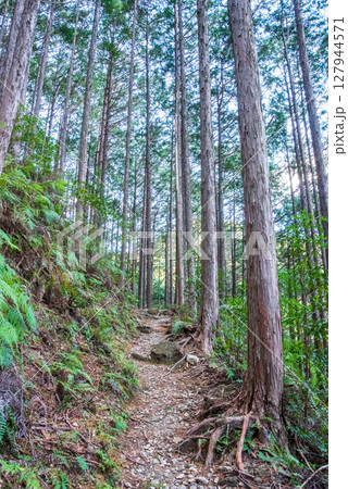 世界遺産 熊野古道伊勢路 「ツヅラト峠」 JR梅ヶ谷駅側の峠道風景 世界遺産 熊野古道伊勢路 「ツヅラト峠」 JR梅ヶ谷駅側の峠道風景 127944571