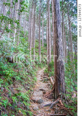 世界遺産 熊野古道伊勢路 「ツヅラト峠」 JR梅ヶ谷駅側の峠道風景 127944573
