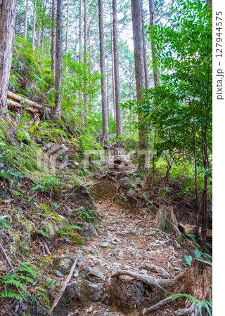 世界遺産 熊野古道伊勢路 「ツヅラト峠」 JR梅ヶ谷駅側の峠道風景 127944575