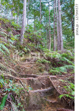 世界遺産 熊野古道伊勢路 「ツヅラト峠」 JR梅ヶ谷駅側の峠道風景 127944577