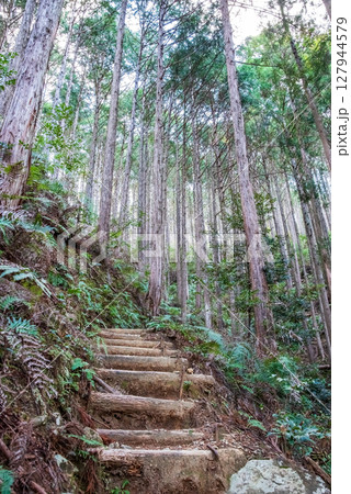 世界遺産 熊野古道伊勢路 「ツヅラト峠」 JR梅ヶ谷駅側の峠道風景 127944579