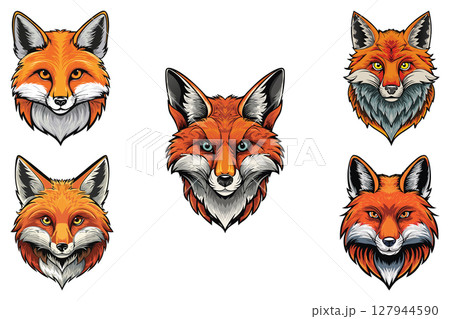 Red fox (Vulpes vulpes) Illustration fox head, vector face red fox, set 127944590