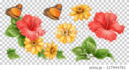 Set with yellow sunflower and monarch butterfly in realistic watercolor style. Red hibiscus and green botanical elements form vivid tropical arrangement. Perfect for summer design and floral art use. 127944761