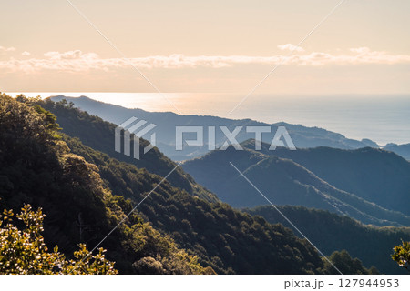 世界遺産 熊野古道伊勢路 「ツヅラト峠」頂上見晴台から見る朝焼けの絶景 127944953