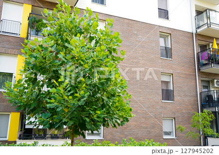 Image of a modern residential complex with multiple colorful apartment buildings Image of a modern residential complex with multiple colorful apartment buildings 127945202