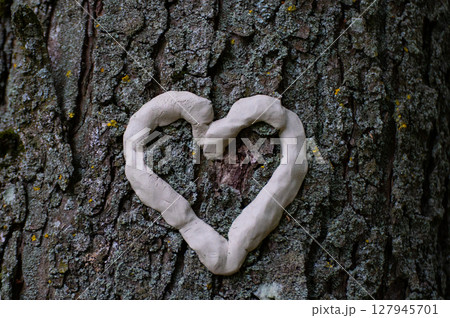 Heart of Tree. Deforestation of forest trees to clear way for building and infrastructure or to export timber and wood production. 127945701