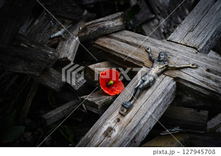 War memorial with red poppy flower and crosses. World War remembrance day. John McCrae In Flanders Fields 127945708