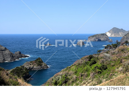 伊豆半島 奥石廊 ユウスゲ公園 伊豆半島 奥石廊 ユウスゲ公園 127945791