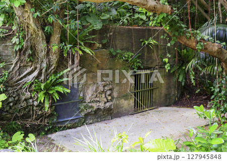 沖縄戦跡 第32軍司令部壕の風景 沖縄戦跡 第32軍司令部壕の風景 127945848