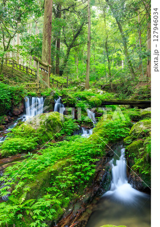 初夏の瓜割の滝 福井県三方上中郡 初夏の瓜割の滝 福井県三方上中郡 127946034