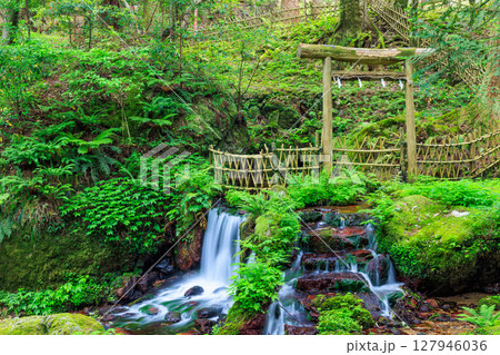 初夏の瓜割の滝 福井県三方上中郡 初夏の瓜割の滝 福井県三方上中郡 127946036