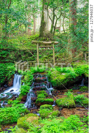 初夏の瓜割の滝 福井県三方上中郡 初夏の瓜割の滝 福井県三方上中郡 127946037