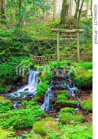 初夏の瓜割の滝 福井県三方上中郡 初夏の瓜割の滝 福井県三方上中郡 127946039