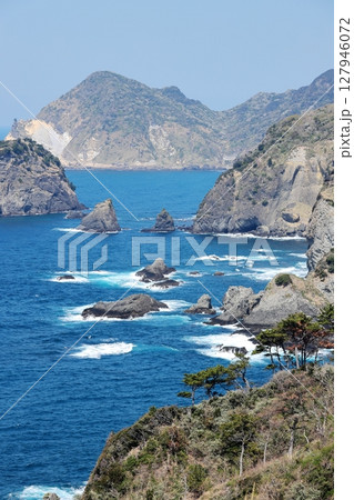 伊豆半島　奥石廊　ユウスゲ公園　タテ位置 127946072