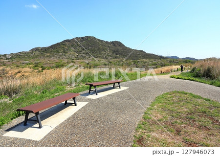 伊豆半島　奥石廊　ユウスゲ公園 127946073