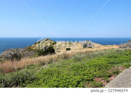 伊豆半島　奥石廊　ユウスゲ公園 127946074
