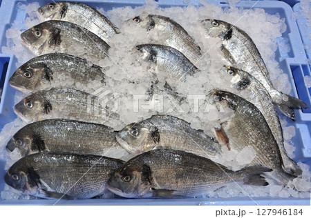 A variety of freshly chilled dorado is neatly arranged on ice at a market in Spain. This display highlights the local seafood selection available for customers looking to purchase. 127946184
