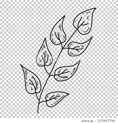 Hand drawn branch with leaves 127947794