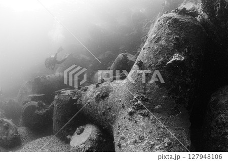 西表島の海 ダイビングの風景 西表島の海 ダイビングの風景 127948106