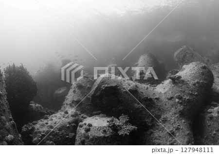 西表島の海　ダイビングの風景 127948111