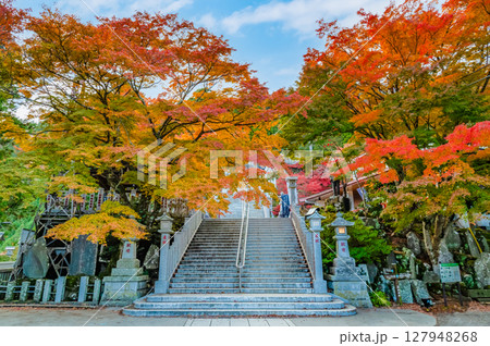 神奈川 大山阿夫利神社 参道の紅葉 神奈川 大山阿夫利神社 参道の紅葉 127948268