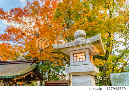 神奈川 大山阿夫利神社 参道の紅葉 神奈川 大山阿夫利神社 参道の紅葉 127948270
