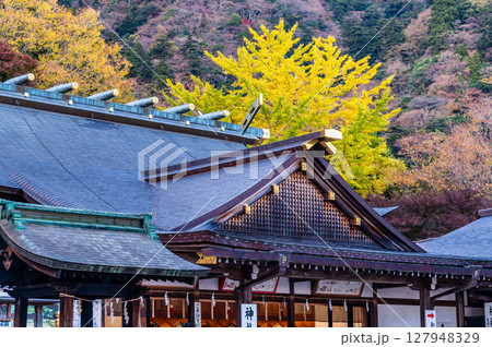 神奈川 大山阿夫利神社 紅葉 神奈川 大山阿夫利神社 紅葉 127948329