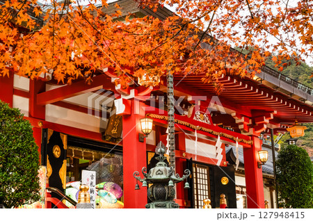 神奈川 大山阿夫利神社　紅葉の下社拝殿 127948415