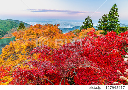神奈川 紅葉の大山阿夫利神社からみる伊勢原市街　 127948417