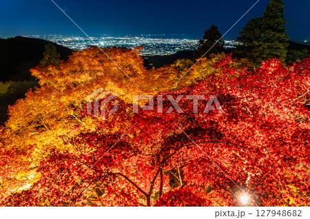 神奈川 大山阿夫利神社　境内の紅葉と伊勢原市街の夜景 127948682